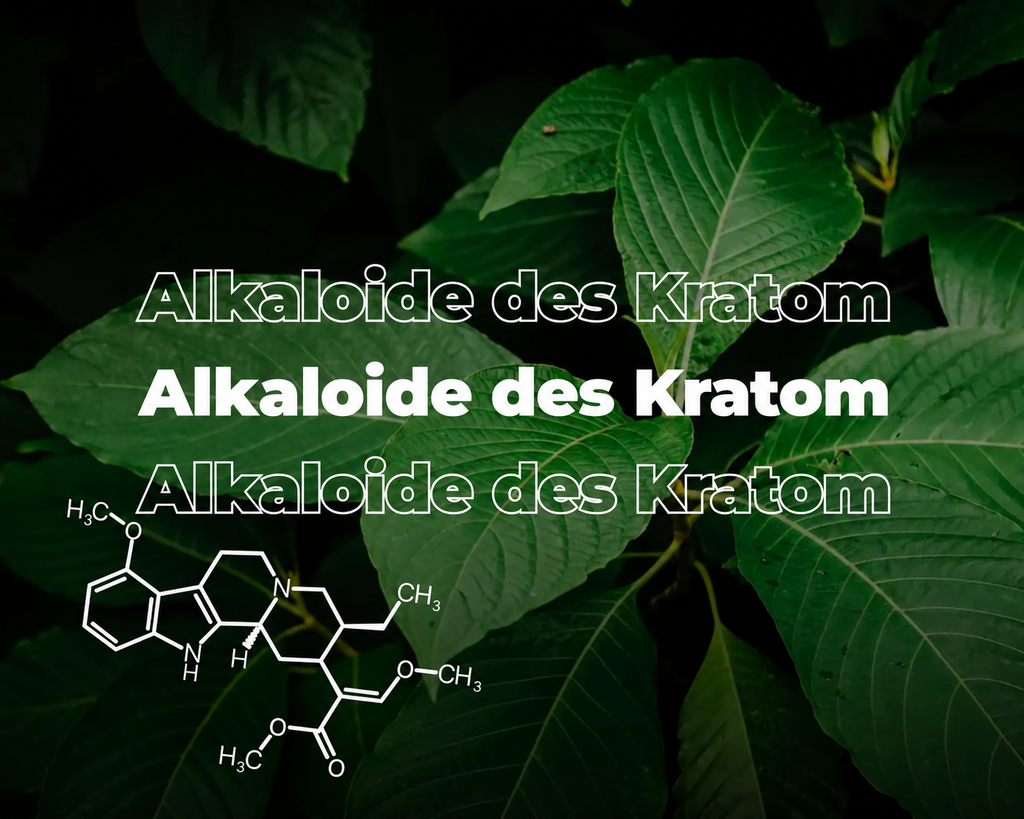 Kratom und Alkaloide: Überblick über Mitragynin, 7-OH und weitere Substanzen + Sicherheit und Wechselwirkungen